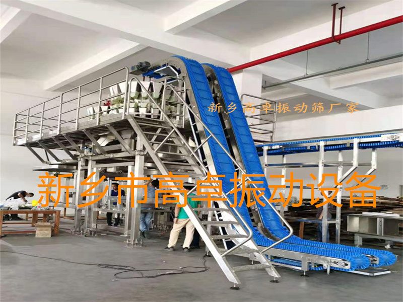 Bucket elevator8 (6)